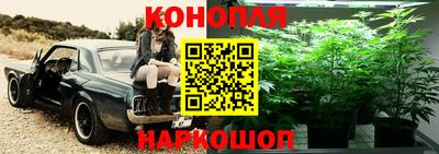 стаф Шебекино