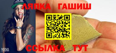 стаф Шебекино