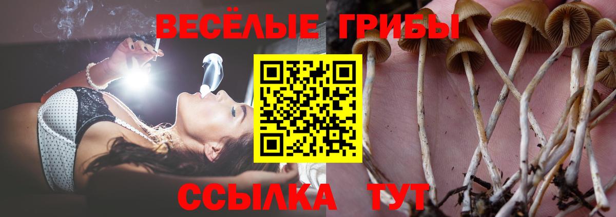 Галлюциногенные грибы ЛСД Вольск
