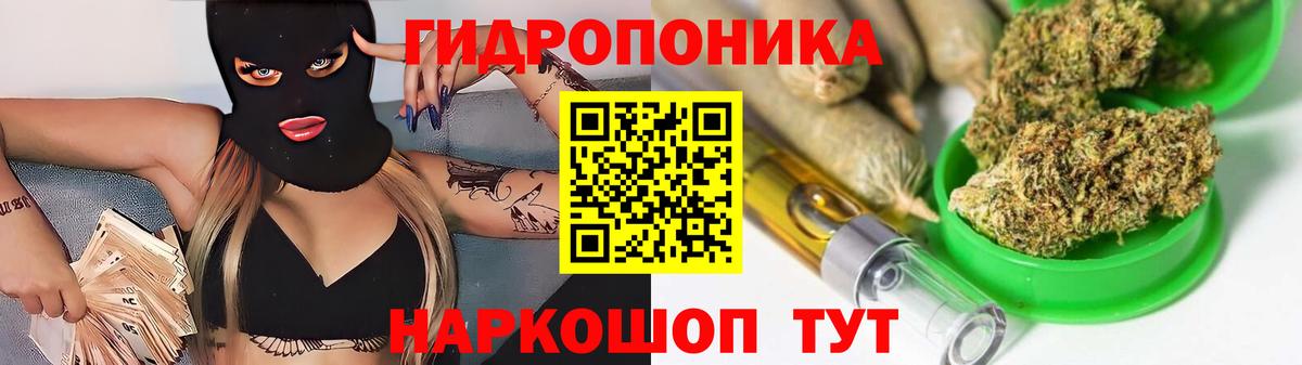 Вольск  Шишки марихуана Bruce Banner  Вход с VPN  Бошки марихуана AK-47  Каннабис планчик  Бошки марихуана THC 21% 